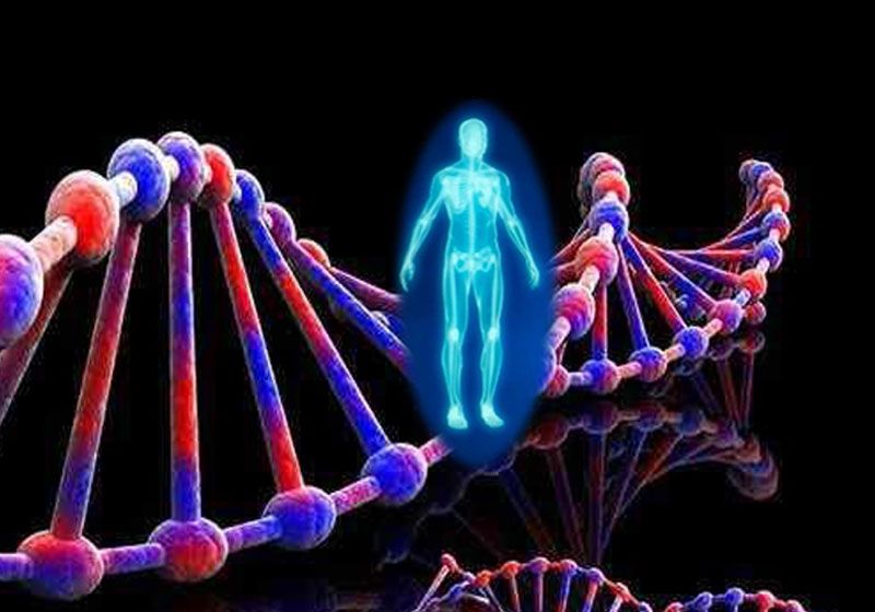 Cartel Construyendo un ser humano a partir de sus genes