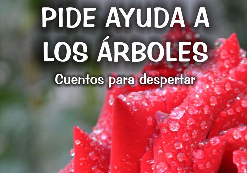 “Pide ayuda a los árboles. Cuentos para despertar", de José Rocha Rufo