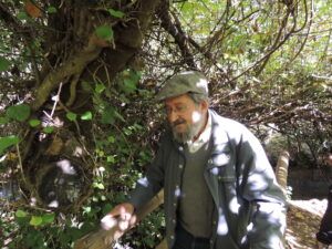 Crónica Excursión a El Bosque y Benamahoma (Cádiz)