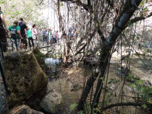 Crónica Excursión a El Bosque y Benamahoma (Cádiz)