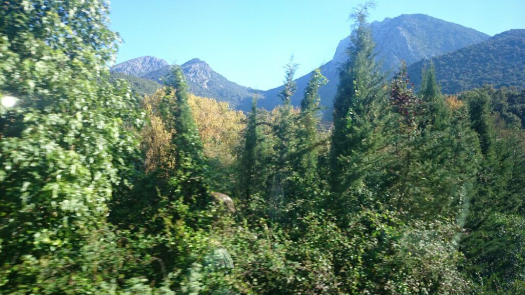 Crónica Excursión a El Bosque y Benamahoma (Cádiz)