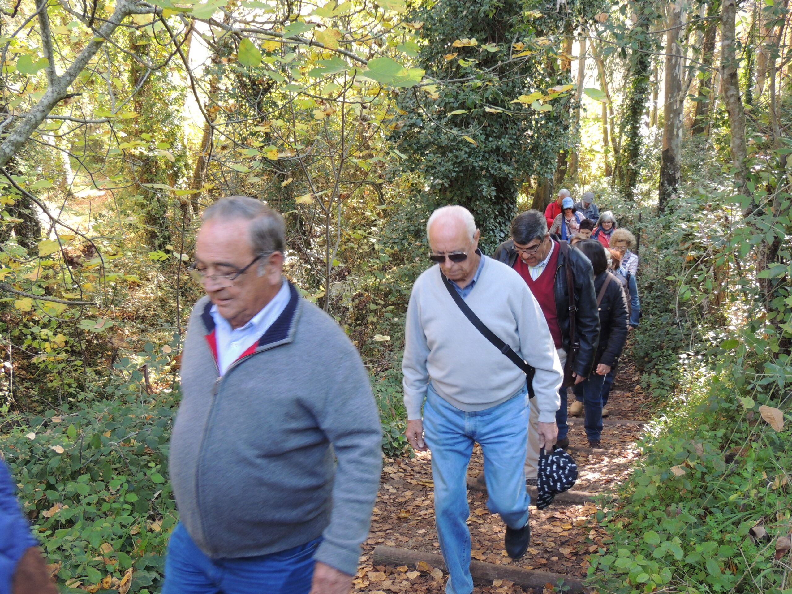 Crónica Excursión a El Bosque y Benamahoma (Cádiz)
