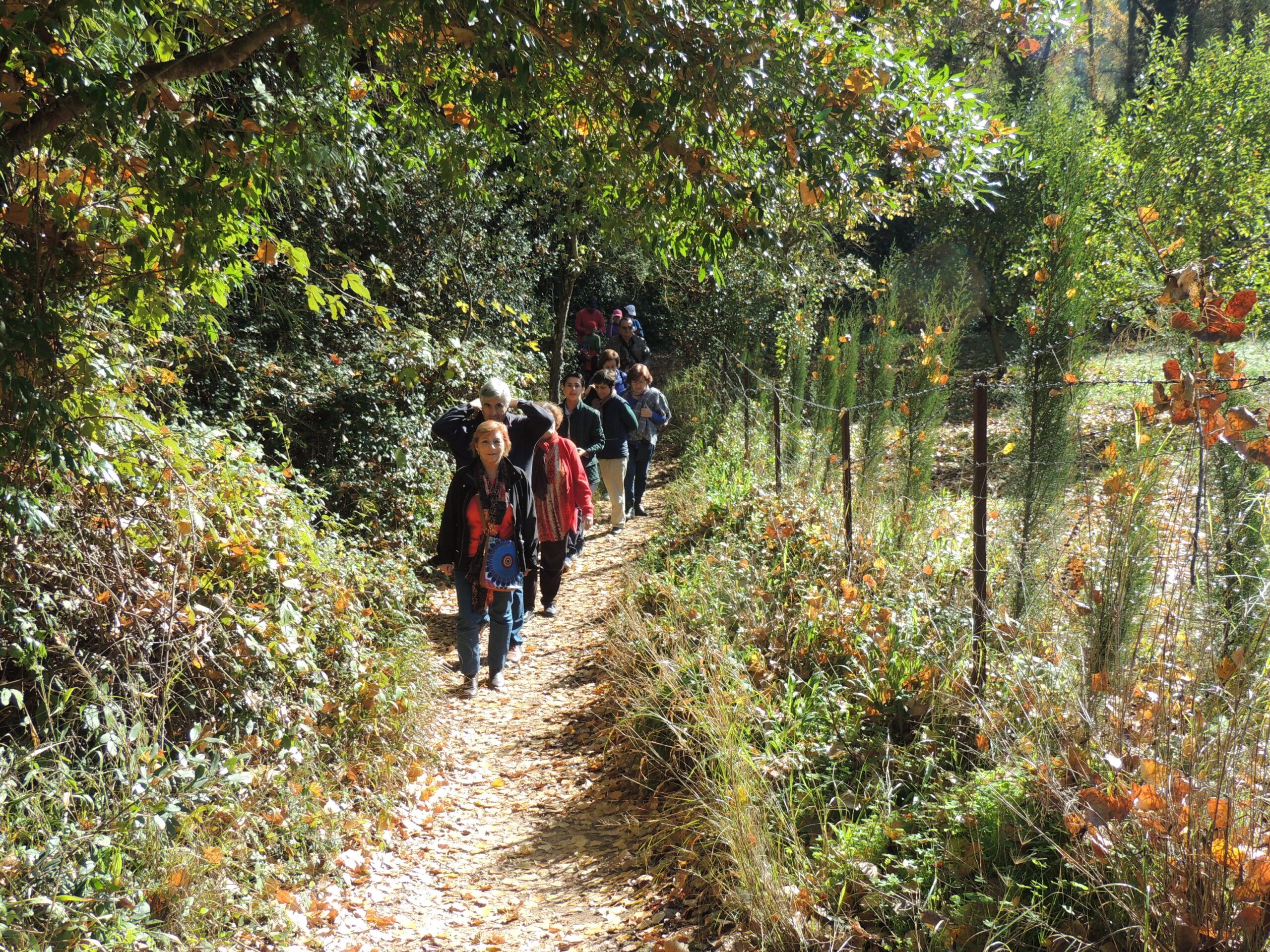 Crónica Excursión a El Bosque y Benamahoma (Cádiz)