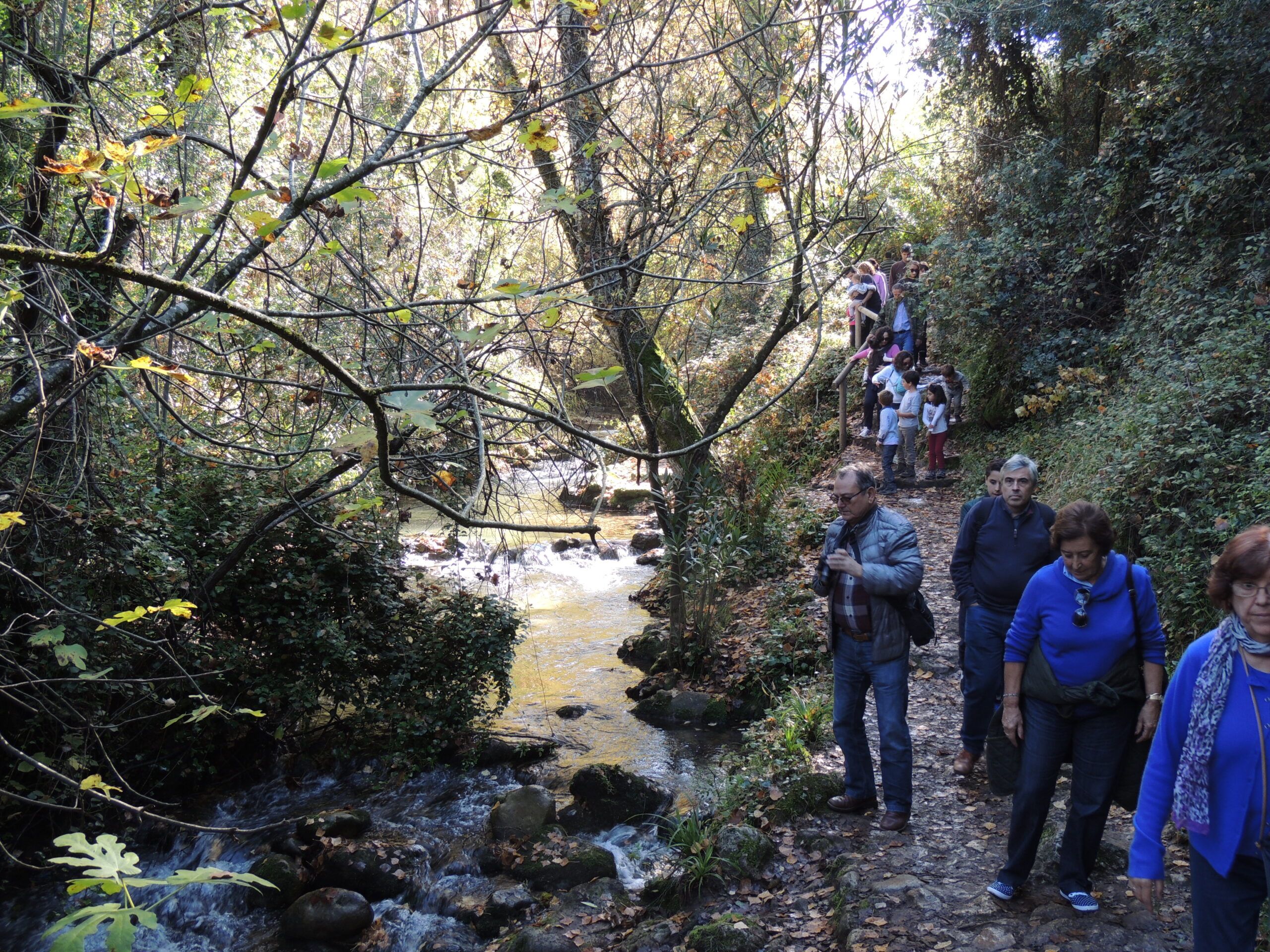 Crónica Excursión a El Bosque y Benamahoma (Cádiz)