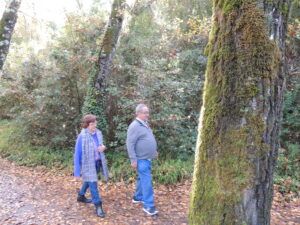 Crónica Excursión a El Bosque y Benamahoma (Cádiz)