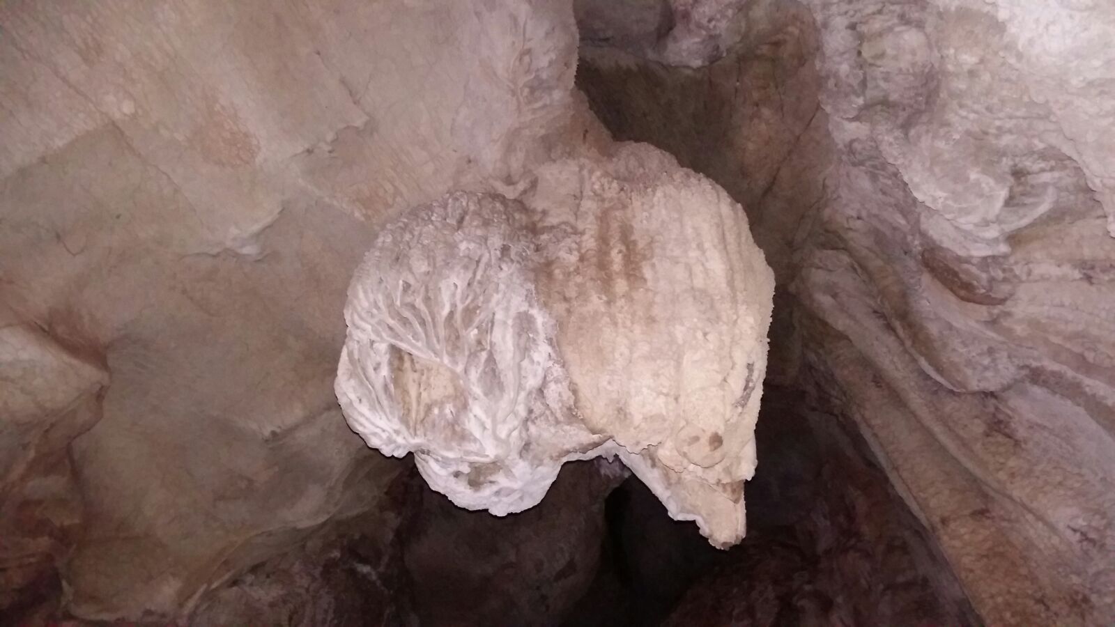 Excursión Cueva de La Pileta y Cueva del Gato. 13 noviembre 2016