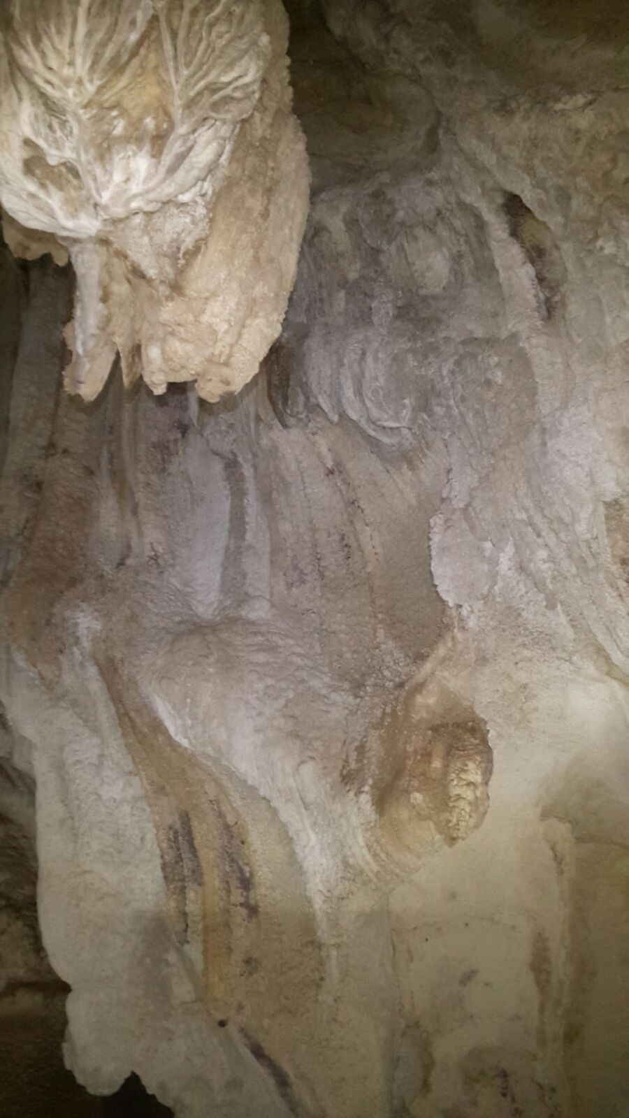 Excursión Cueva de La Pileta y Cueva del Gato. 13 noviembre 2016