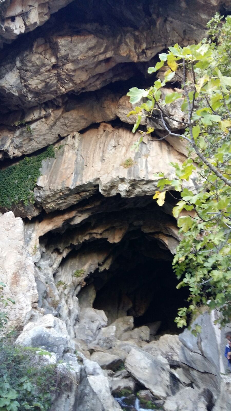 Excursión Cueva de La Pileta y Cueva del Gato. 13 noviembre 2016