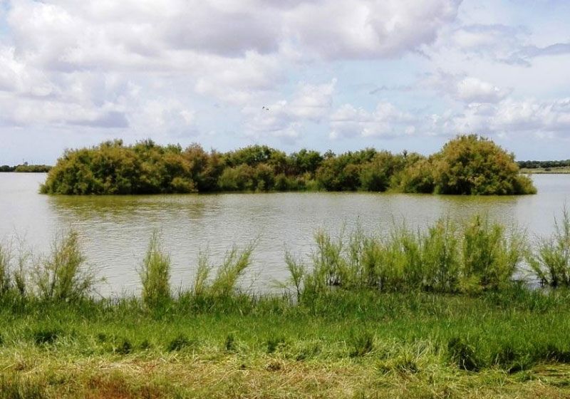 Excursión de Primavera a La Dehesa de Abajo