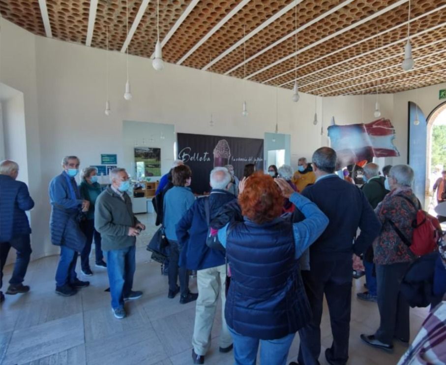 Excursión a Jabugo