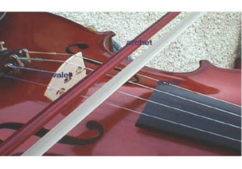 Concierto de violines en directo.