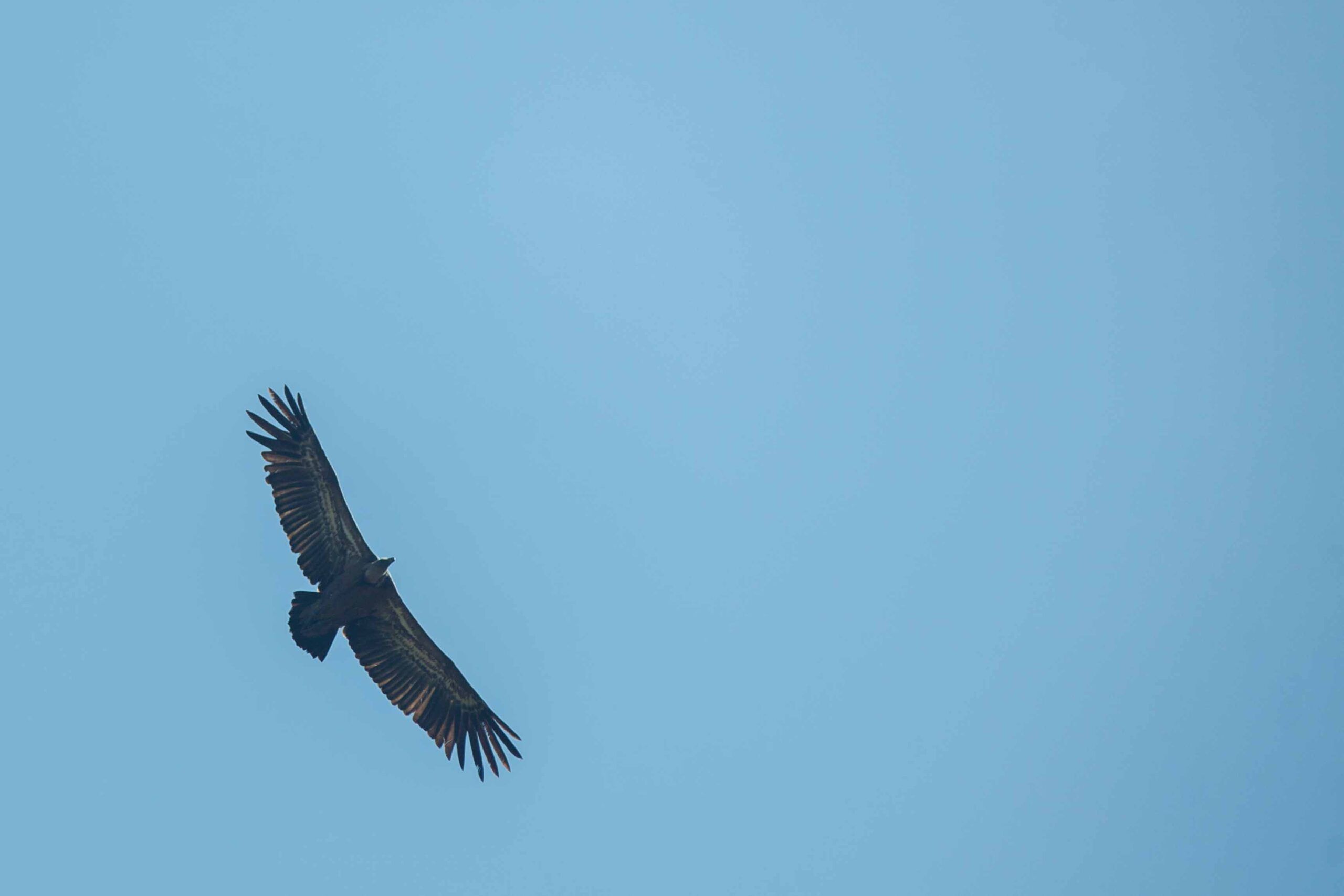 Excursión a Olvera 12.04.2014