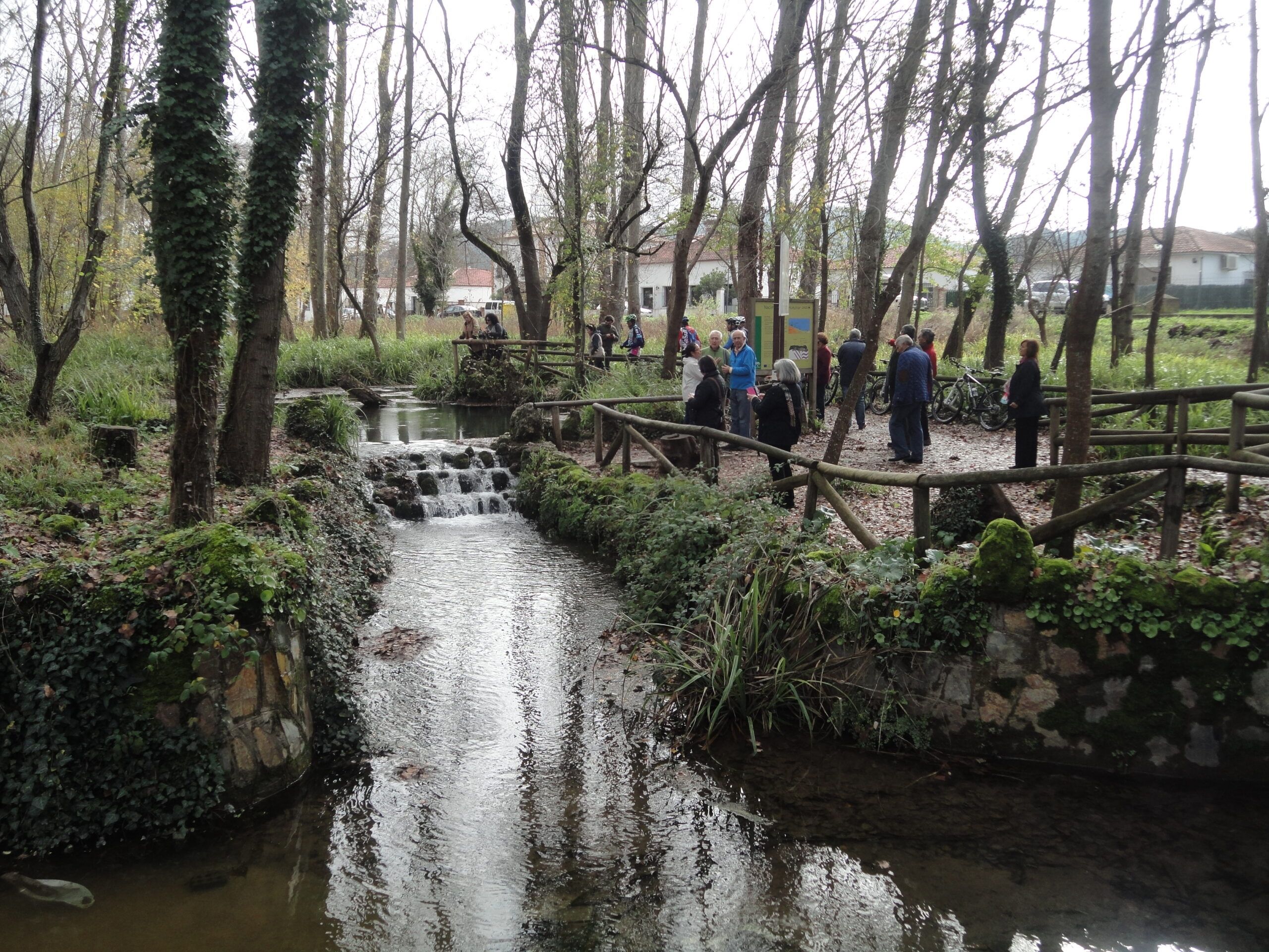 Excursión a San Nicolás del Puerto y Cazalla
