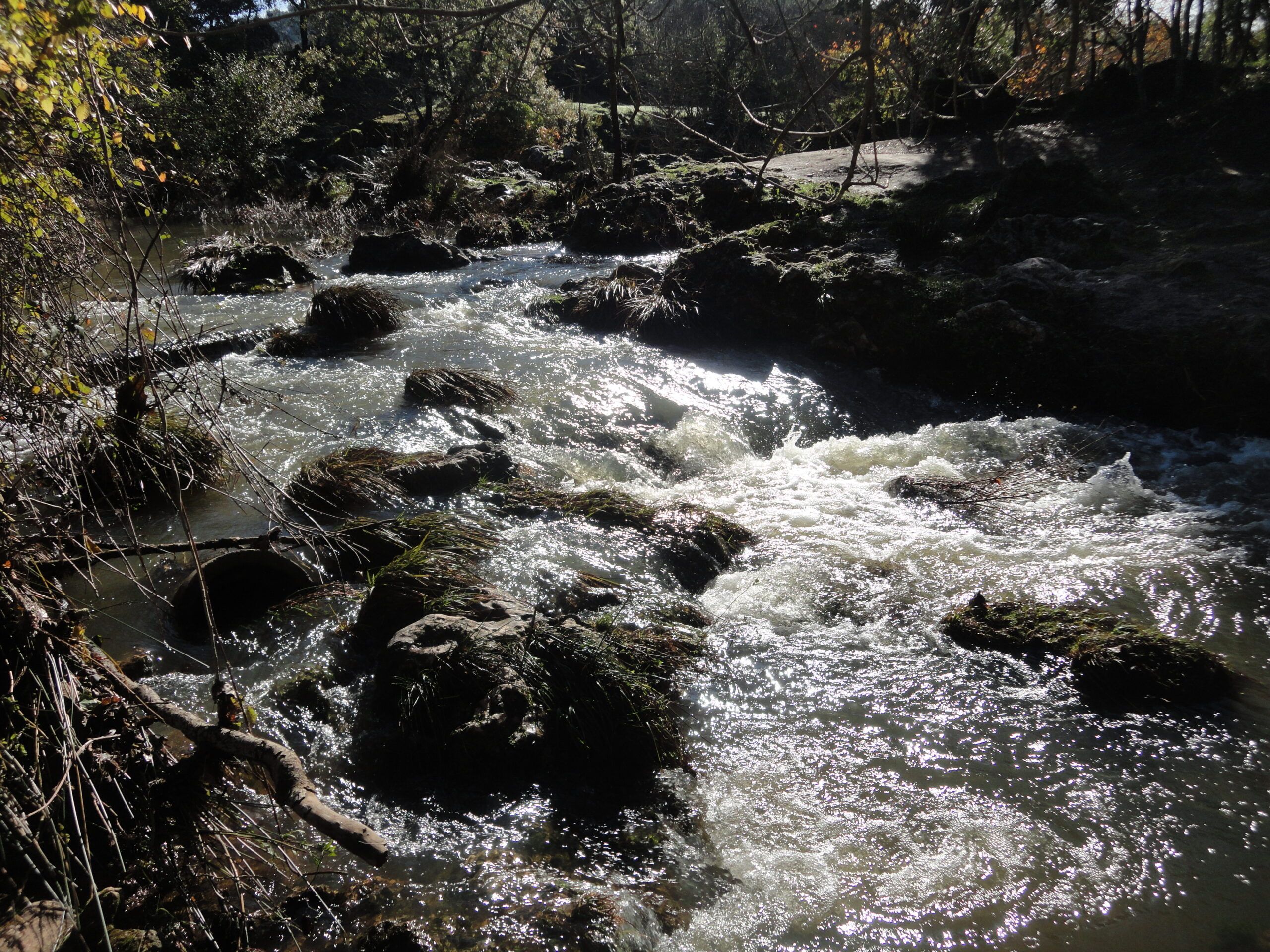 Excursión a San Nicolás del Puerto y Cazalla