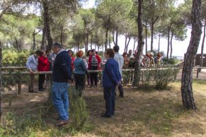Excursión a “las marismas del Odiel”. 11 abril 2015