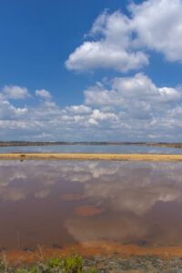 Excursión a “las marismas del Odiel”. 11 abril 2015