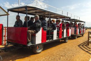 Excursión a “las marismas del Odiel”. 11 abril 2015