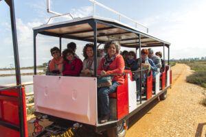 Excursión a “las marismas del Odiel”. 11 abril 2015