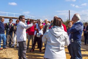 Excursión a “las marismas del Odiel”. 11 abril 2015