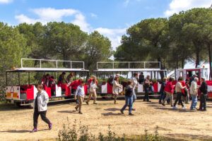 Excursión a “las marismas del Odiel”. 11 abril 2015