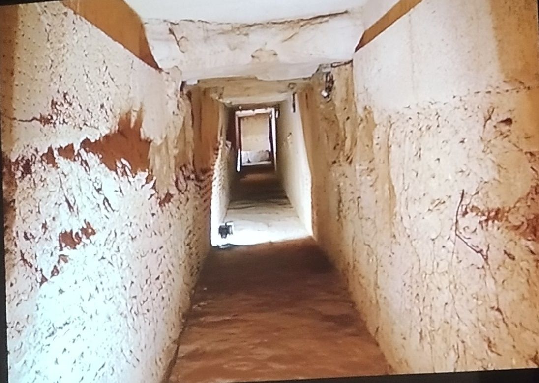 Visita arqueológica a Valencina