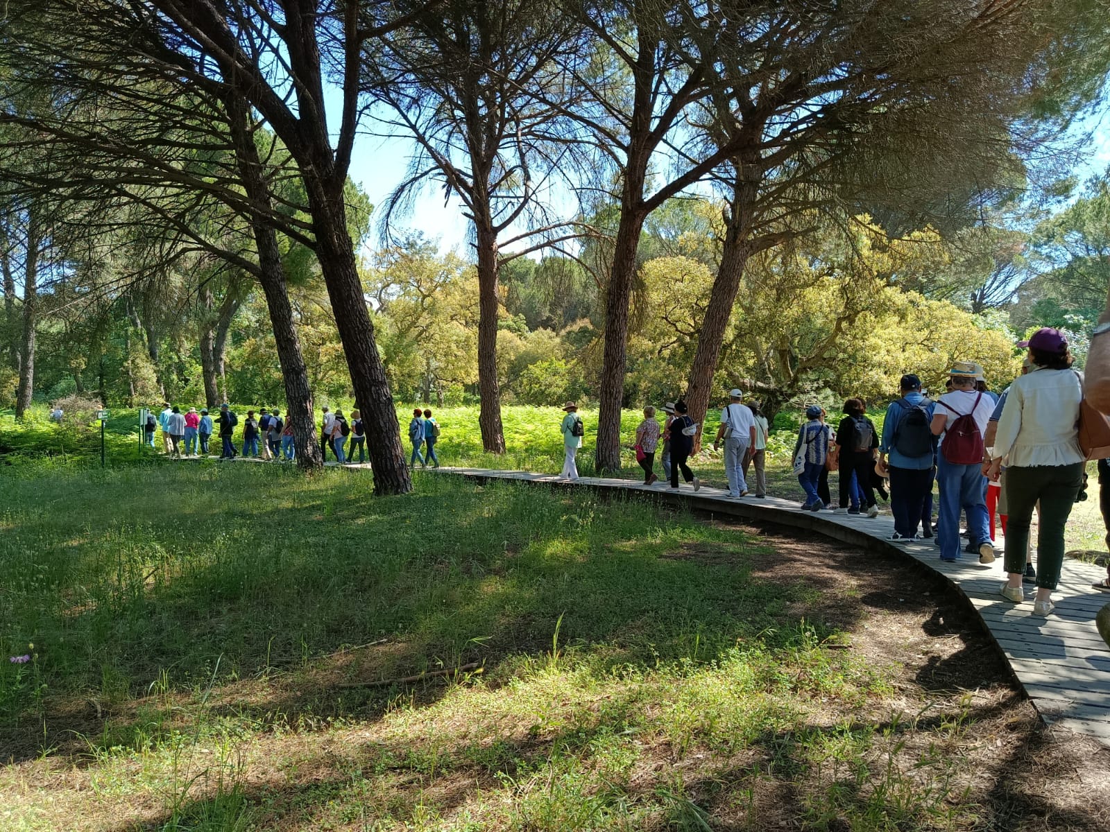 Visita guiada al Parque Nacional de Doñana (27/04/2025)