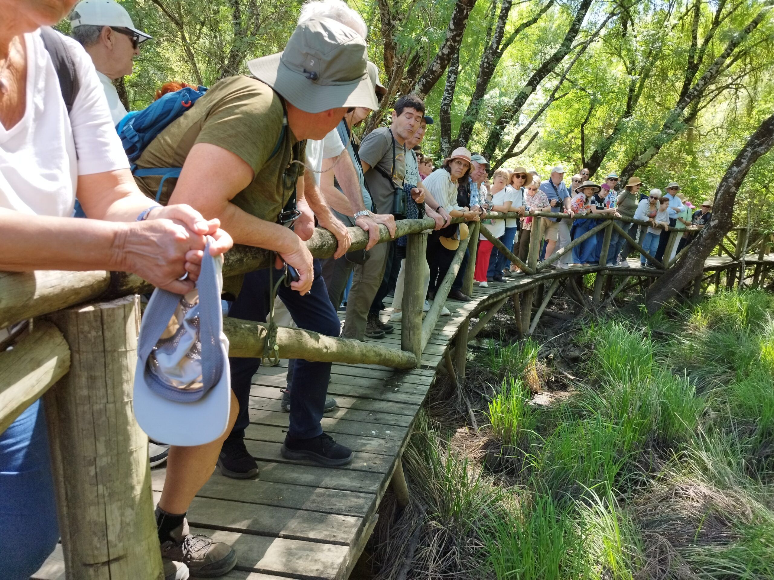 Visita guiada al Parque Nacional de Doñana (27/04/2025)