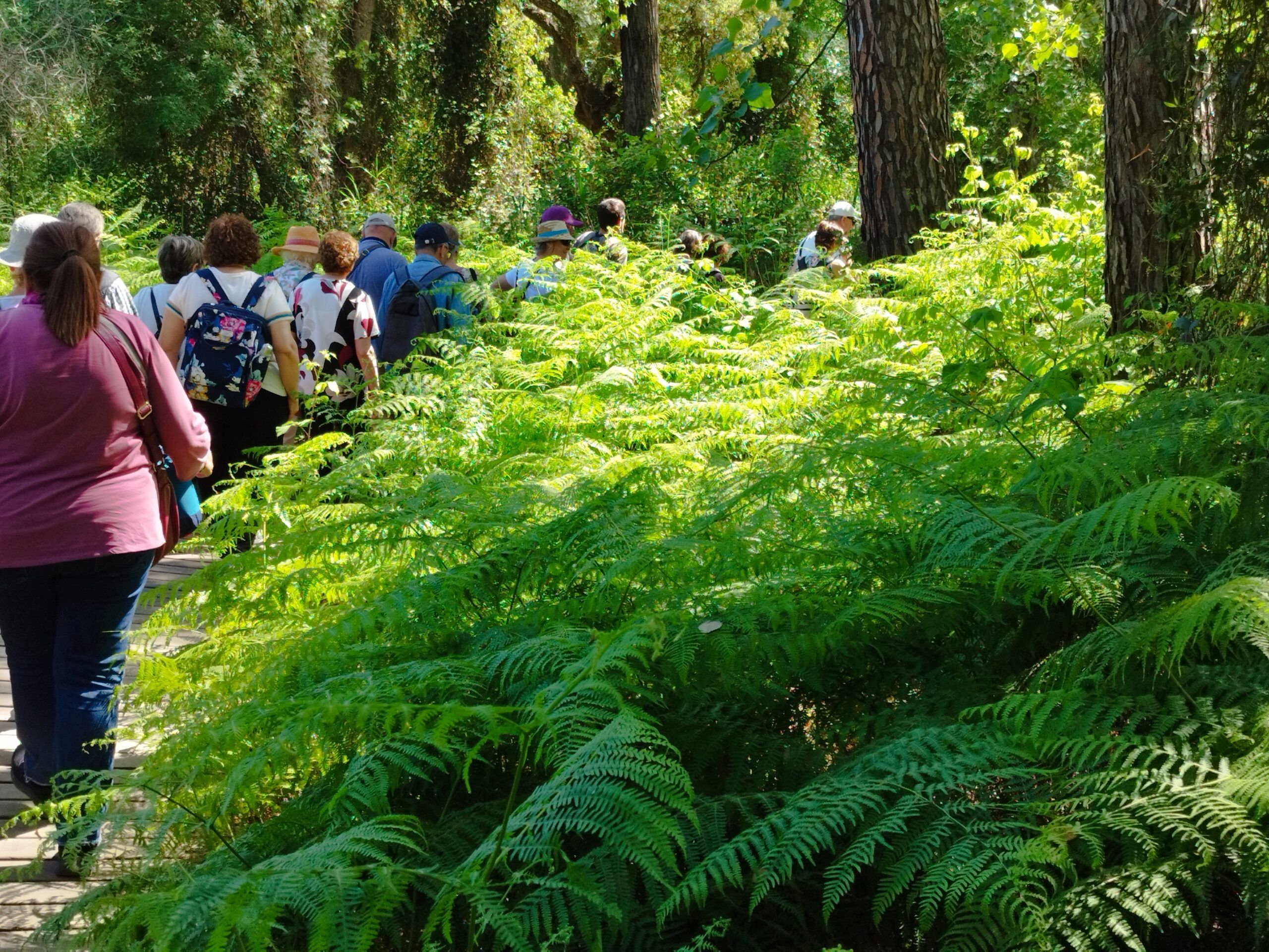Visita guiada al Parque Nacional de Doñana (27/04/2025)