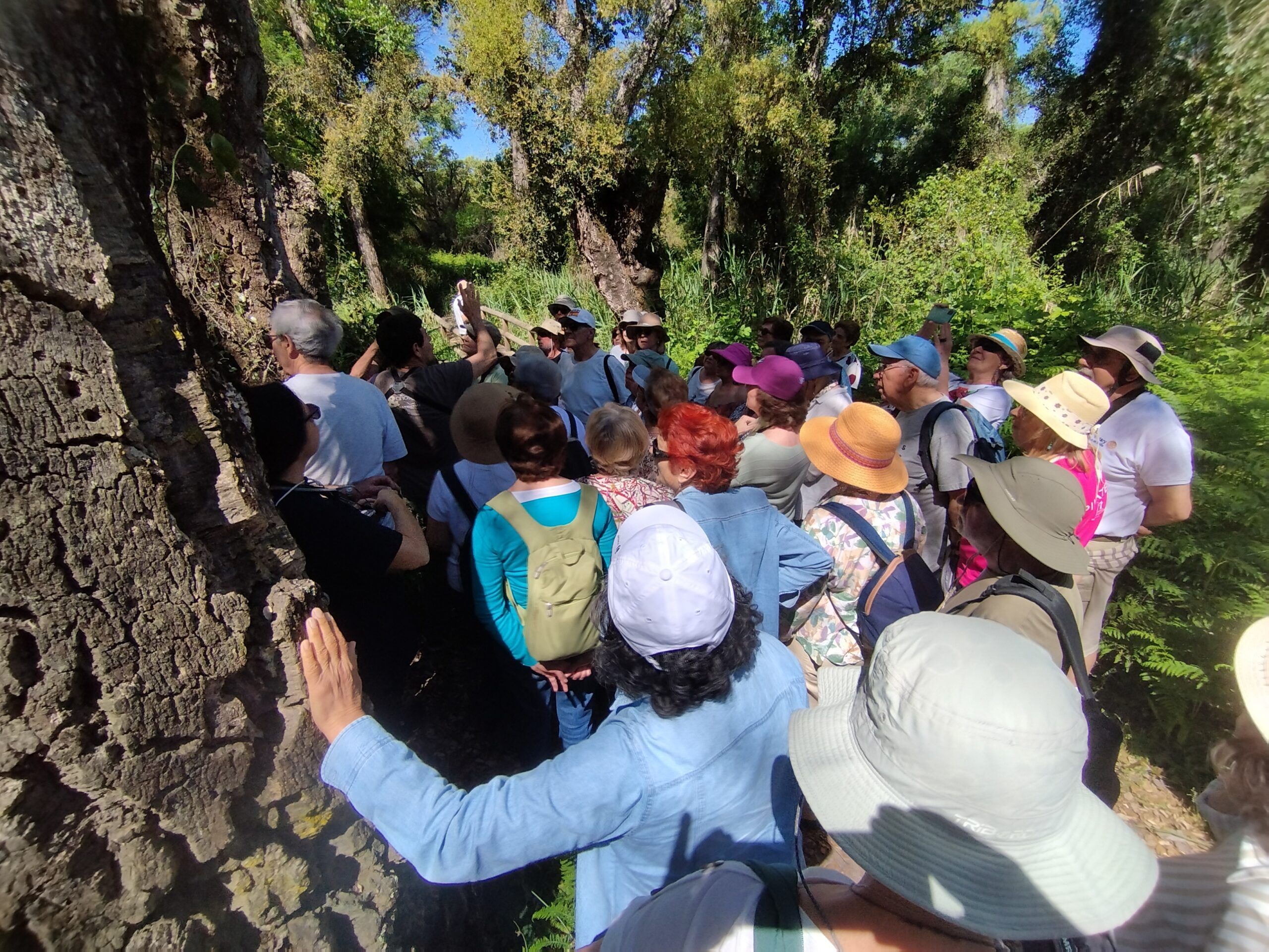 Visita guiada al Parque Nacional de Doñana (27/04/2025)
