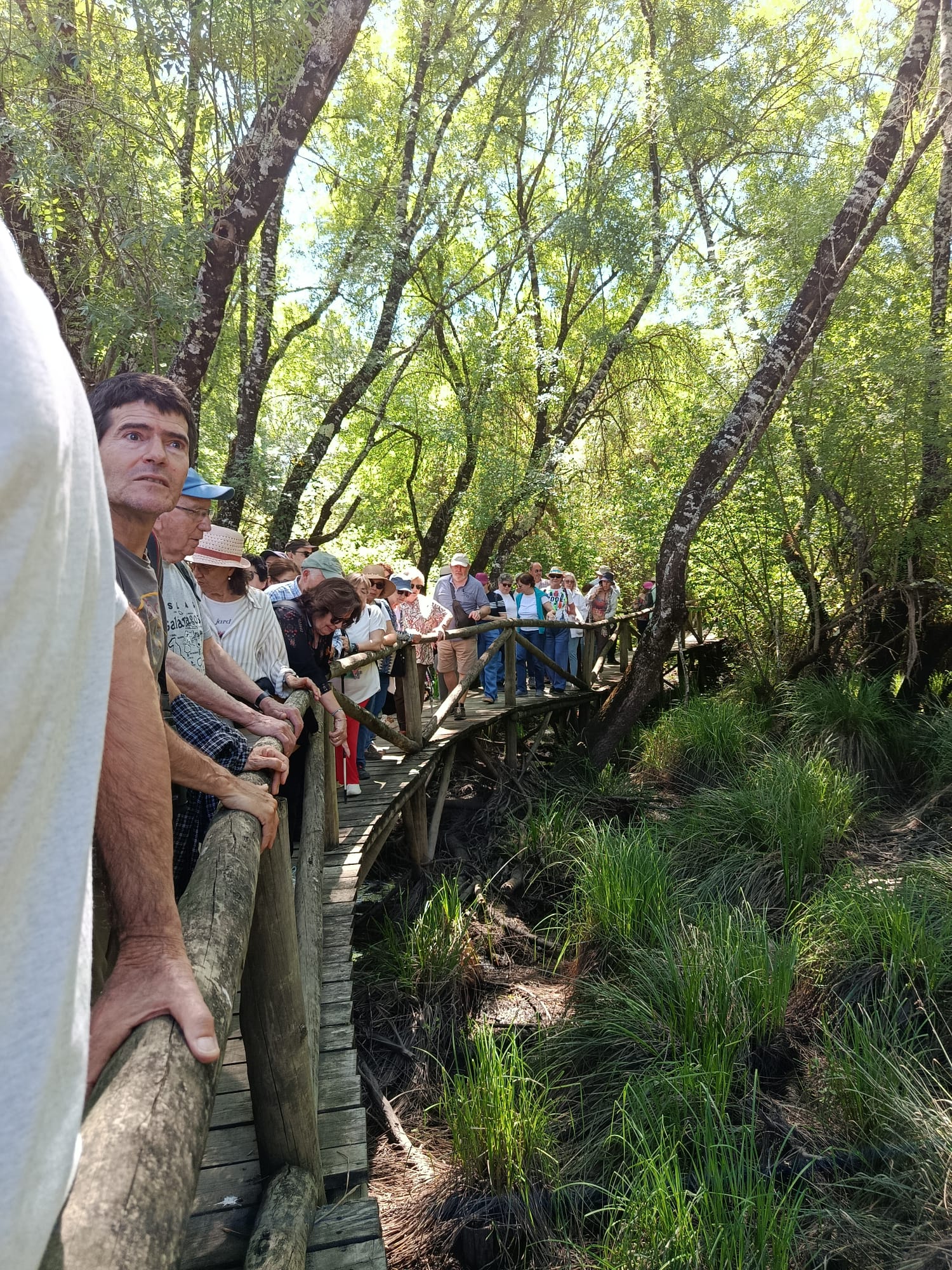 Visita guiada al Parque Nacional de Doñana (27/04/2025)