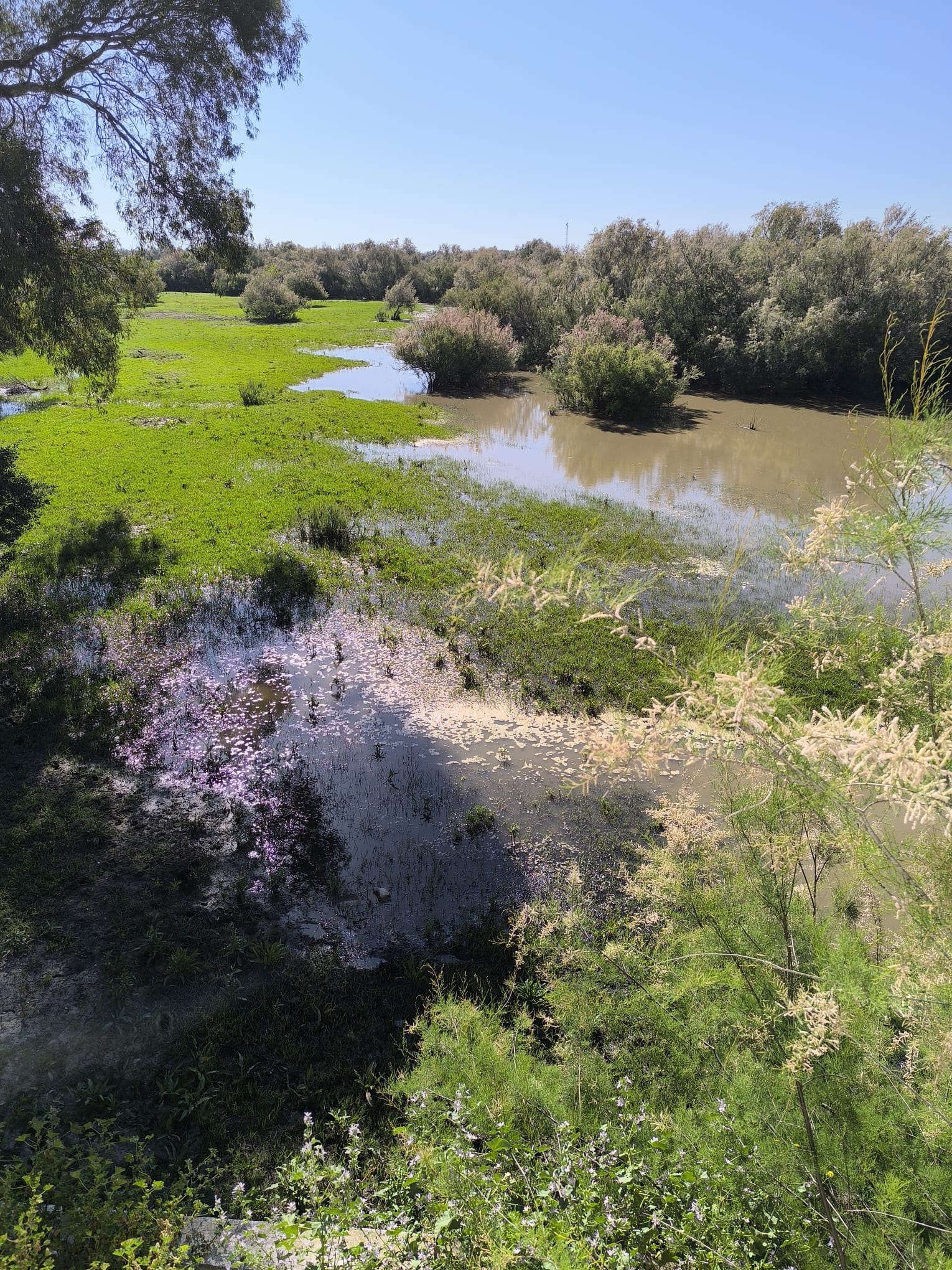 Visita guiada al Parque Nacional de Doñana (27/04/2025)