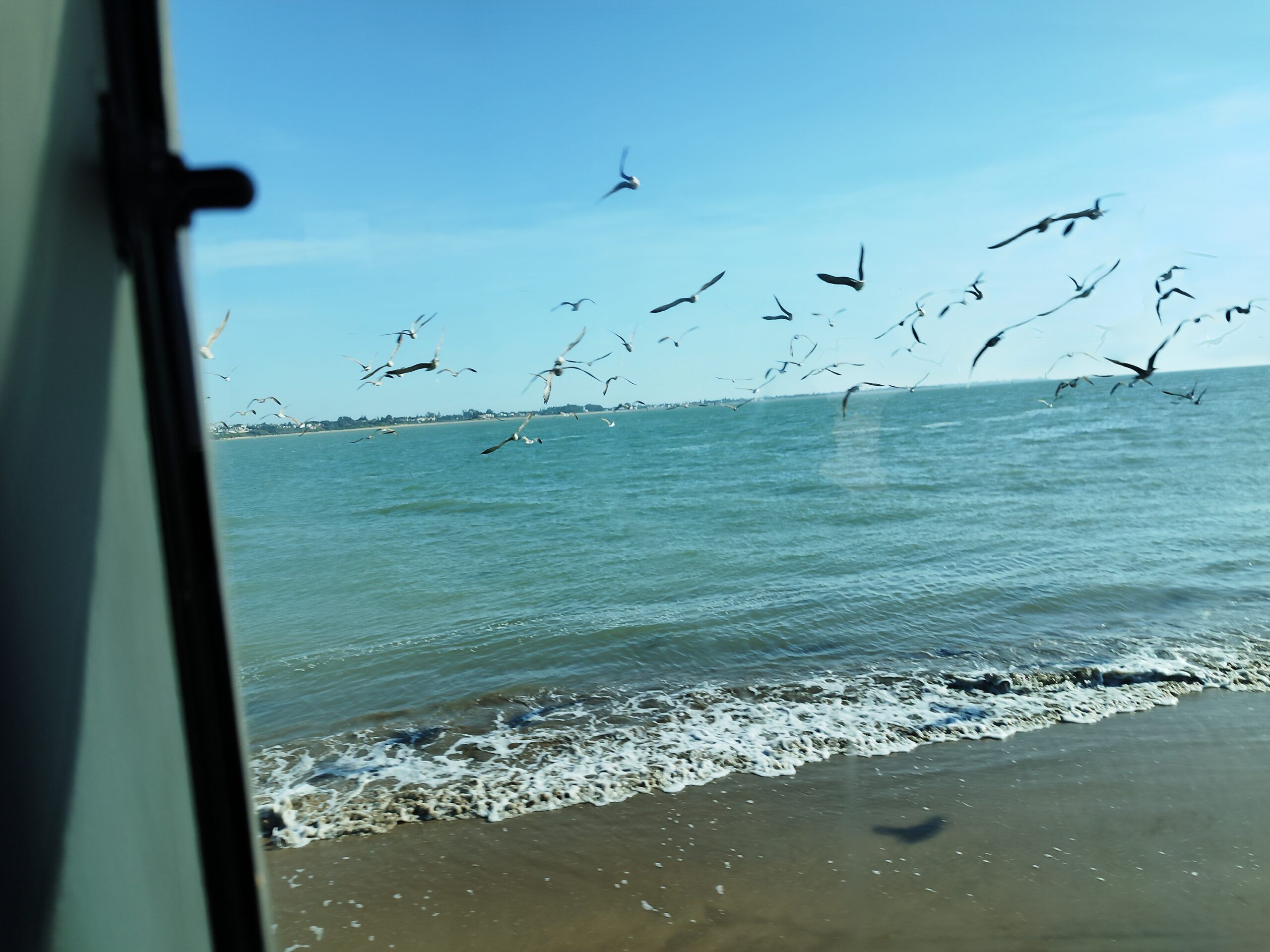Visita guiada al Parque Nacional de Doñana (27/04/2025)