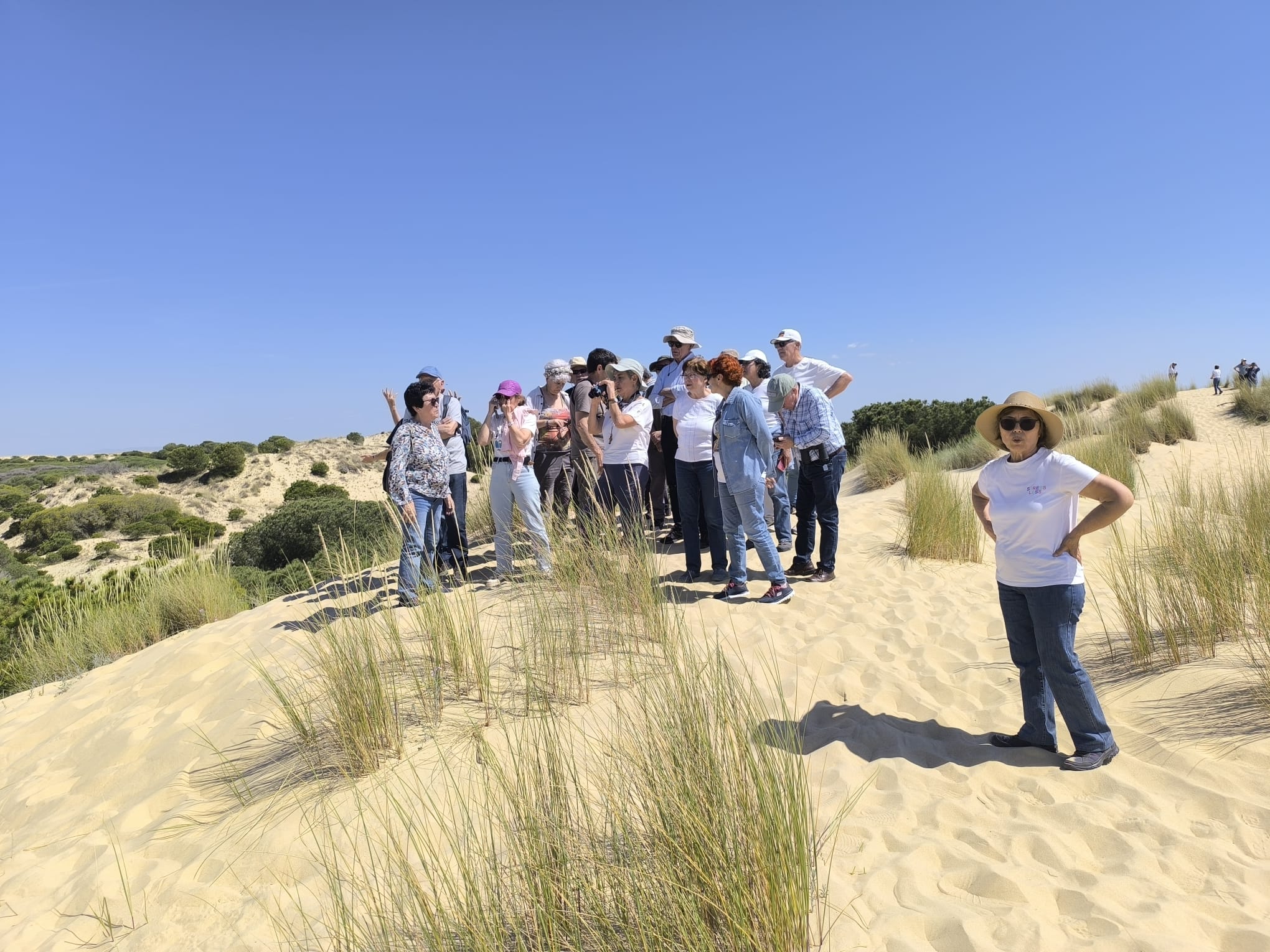 Visita guiada al Parque Nacional de Doñana (27/04/2025)