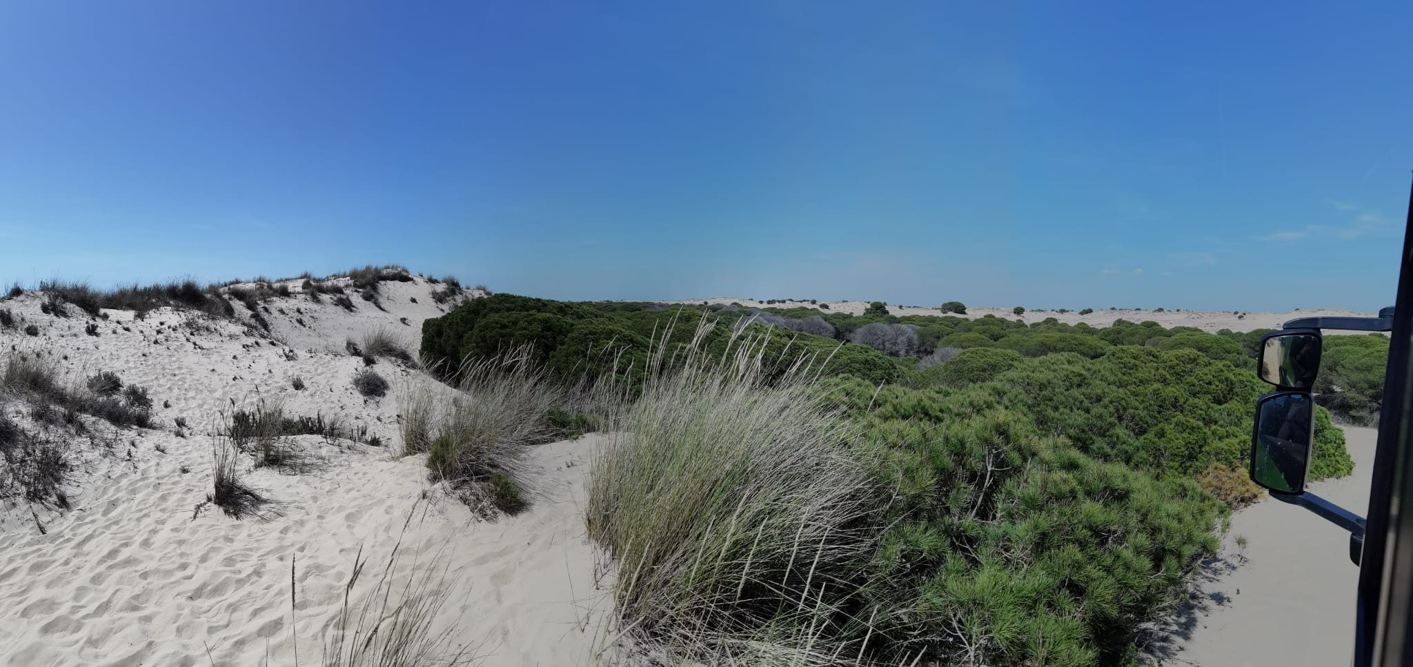 Visita guiada al Parque Nacional de Doñana (27/04/2025)