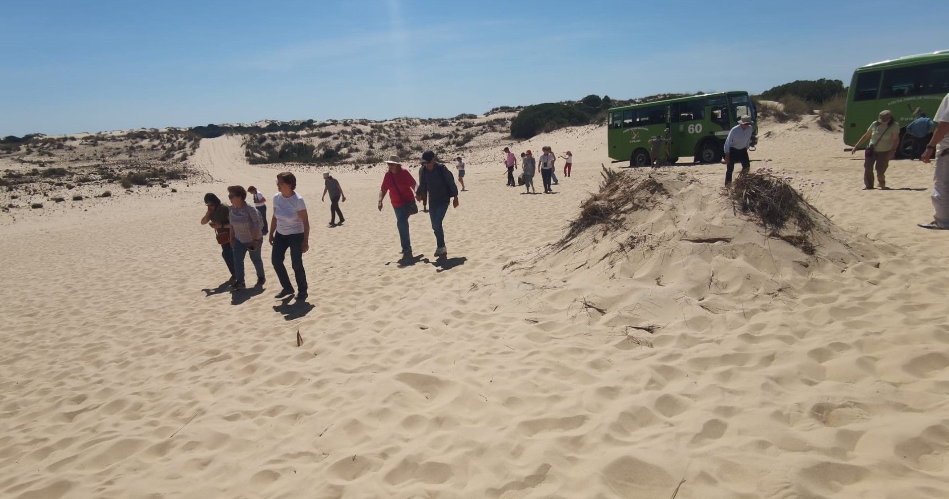 Visita guiada al Parque Nacional de Doñana (27/04/2025)