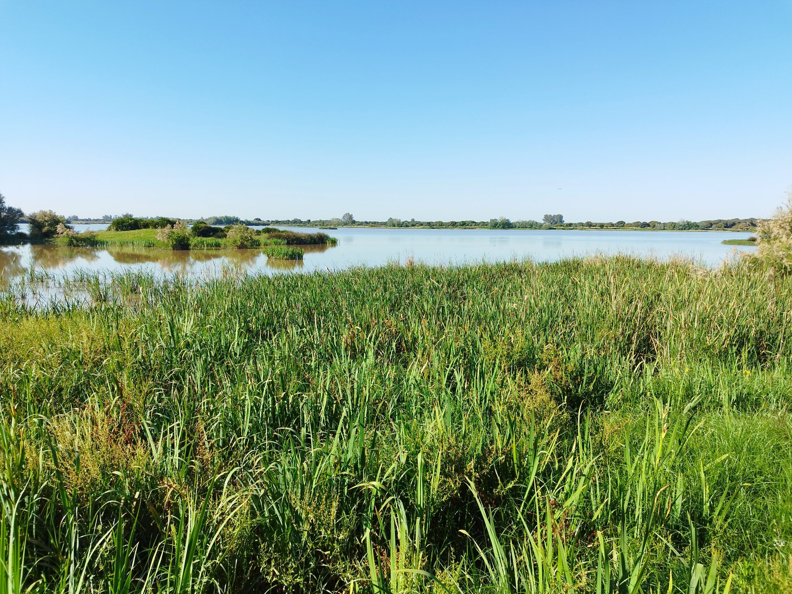 Visita guiada al Parque Nacional de Doñana (27/04/2025)